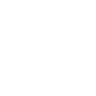 SNSM