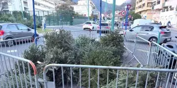 Recycler son sapin de Noël 