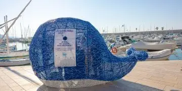 Aujourd'hui une bouteille en plastique, demain une décoration de Noël