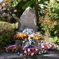 Image de l'article10381