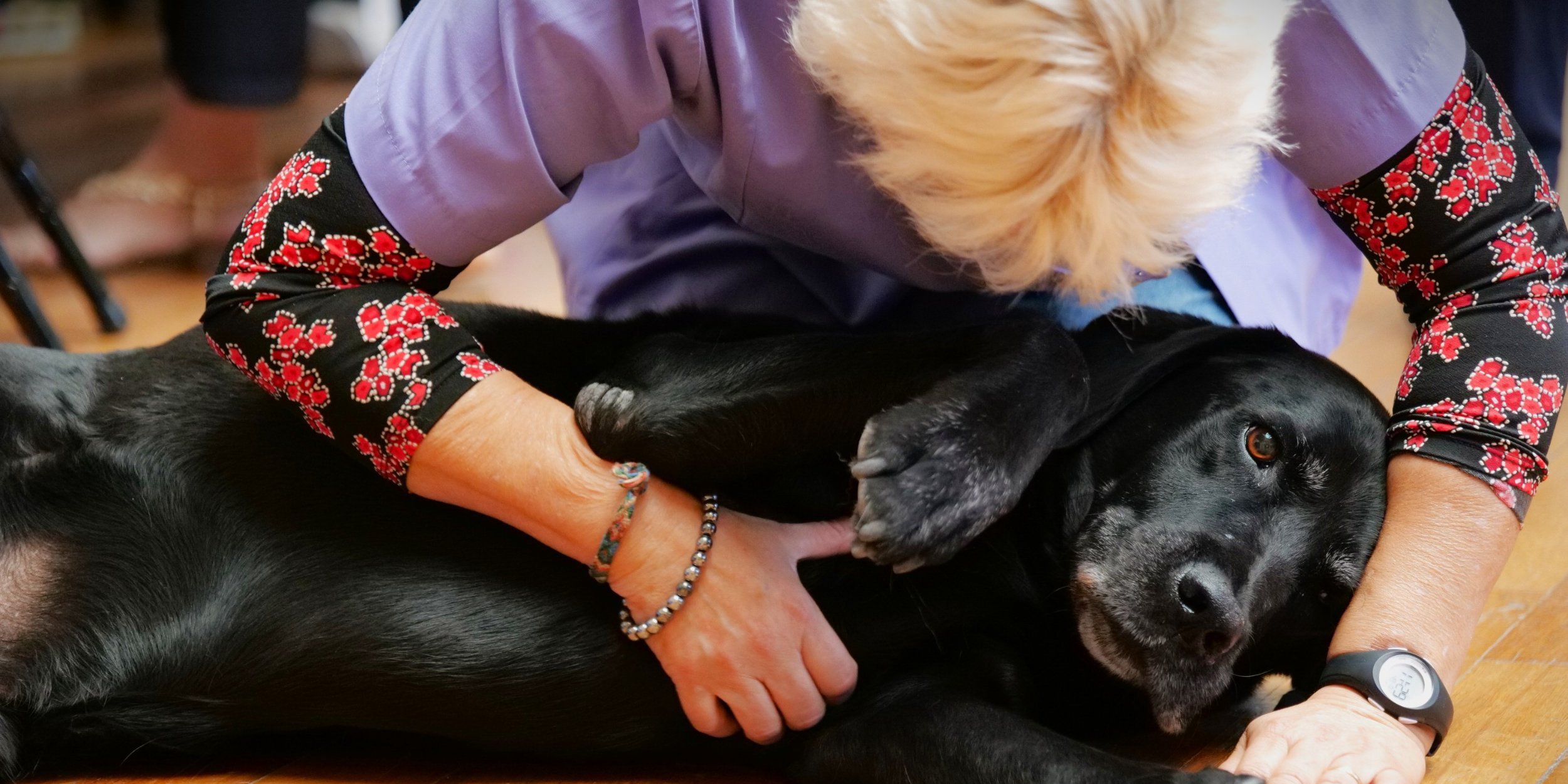 Plus de 800 visiteurs au Salon du bien-être animal 
