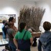 « Pas bête ! » au musée de Préhistoire régionale