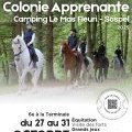 Image de l'article10299