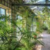 Une nouvelle ère pour le jardin Serre de la Madone