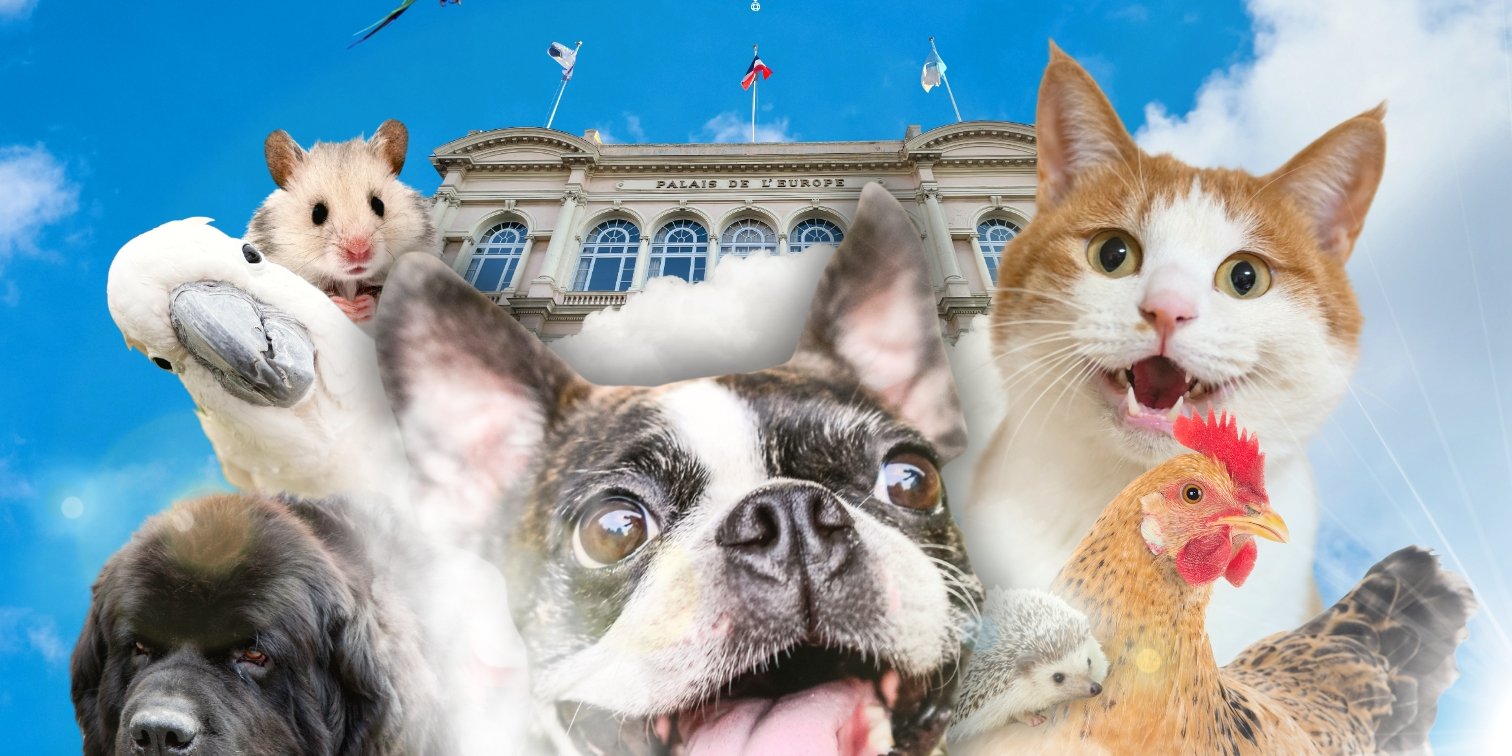 3e Salon du bien-être animal