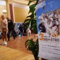 Image de l'article10586