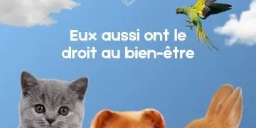 4e Salon du bien-être animal