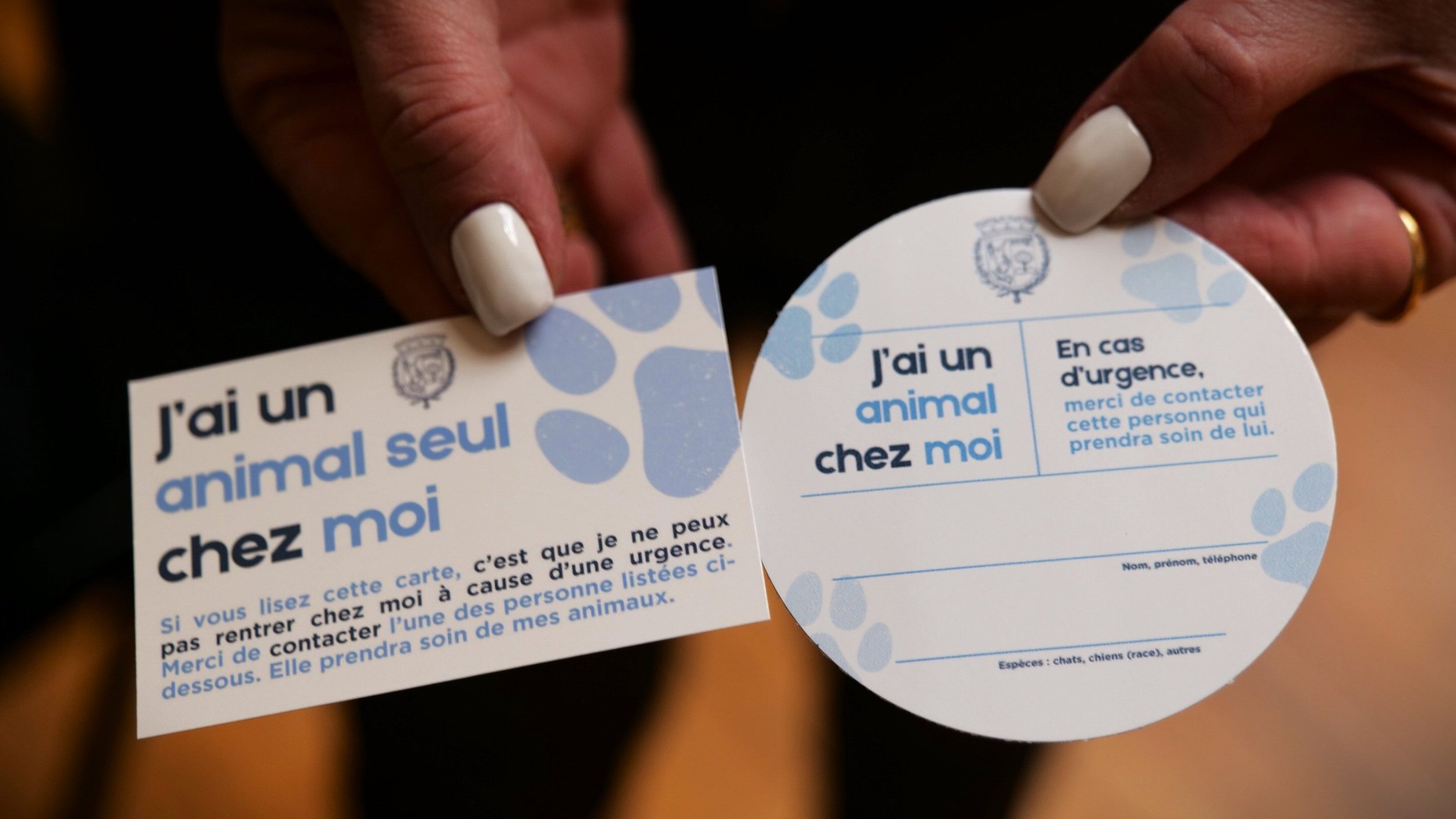 Kit de prévention "J'ai un animal seul chez moi"