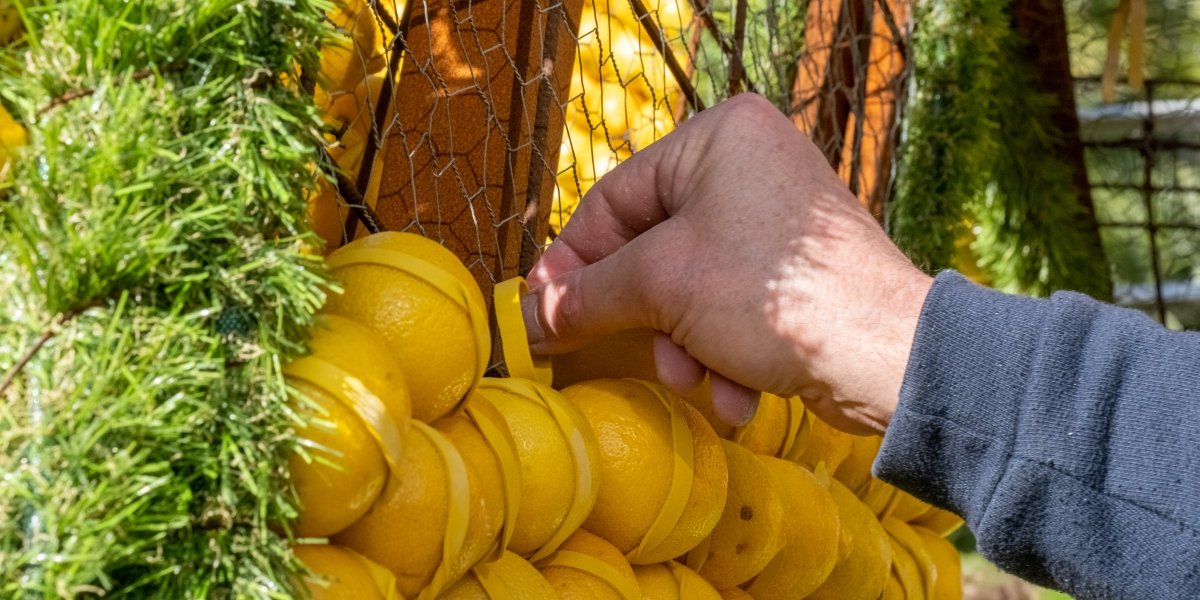 Fête du Citron® : dispositions de circulation et de stationnement