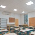 Image de l'article11338