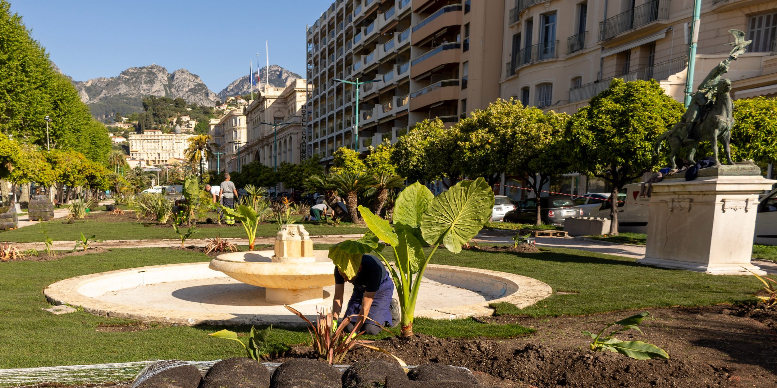 Jardins Biovès : le fleurissement est en cours ! 