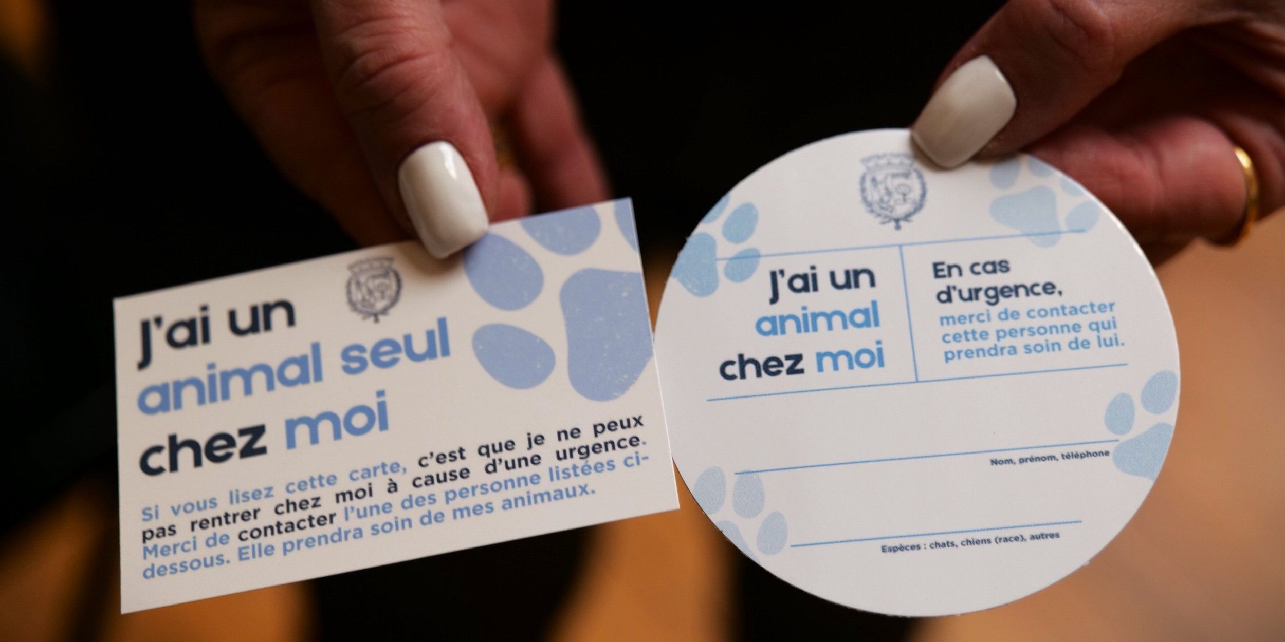 Kit de prévention "J'ai un animal seul chez moi"