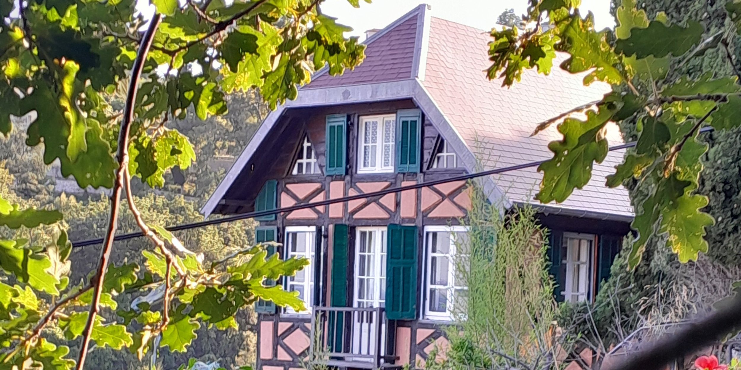 « Éclectisme et fantaisies ! » à la voûte du Patrimoine