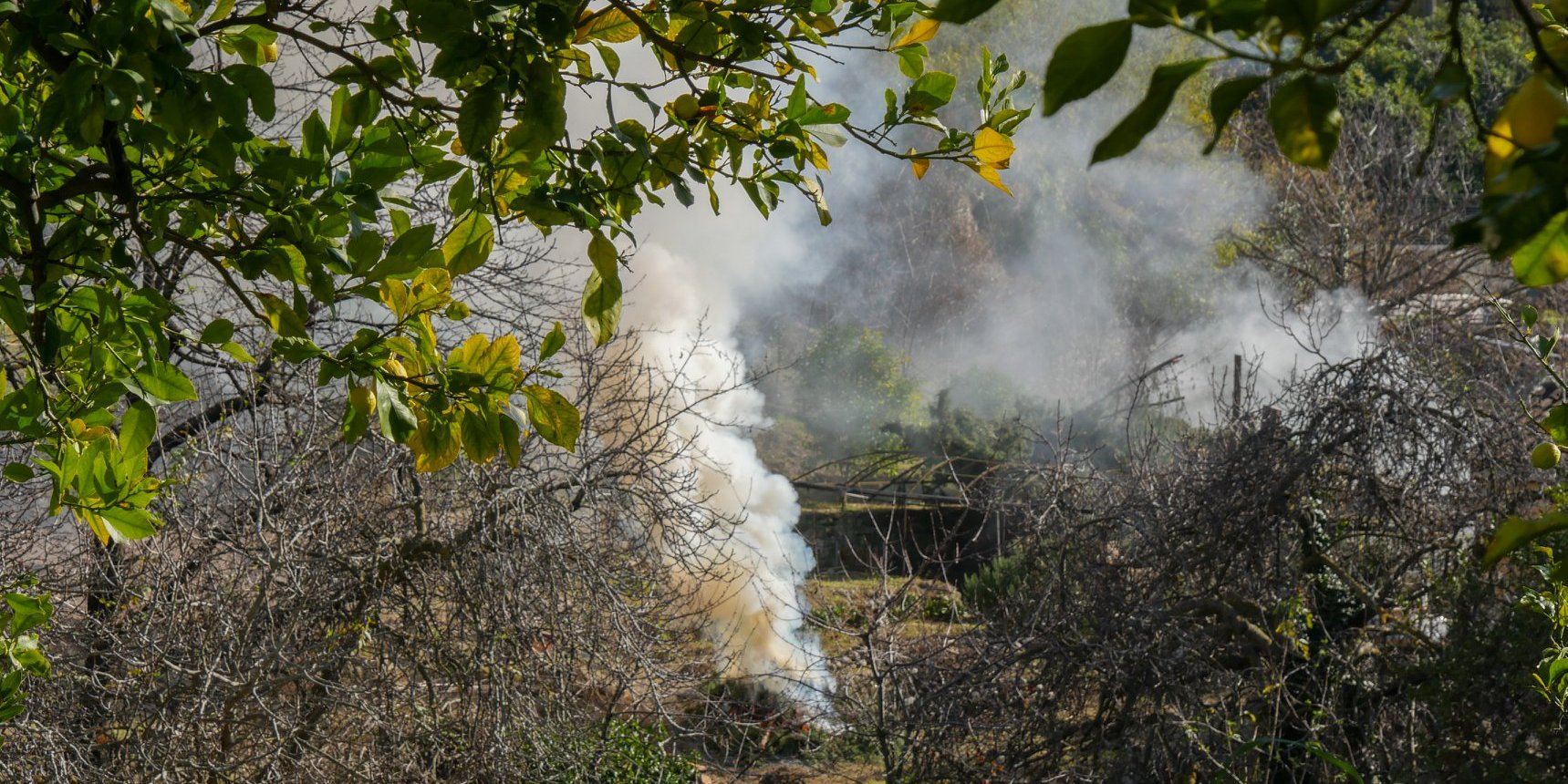 Interdiction temporaire de brûlage de végétaux