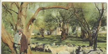 La culture de l'olivier et les moulins à huile de Menton