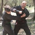 BUJINKAN SEIHÔ BYAKKO DÔJÔ MENTON