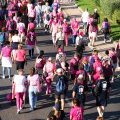 Image de l'article10545