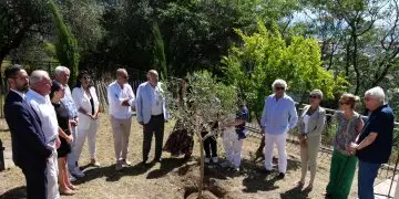 Plantation d'un olivier en hommage à Ilan Halimi