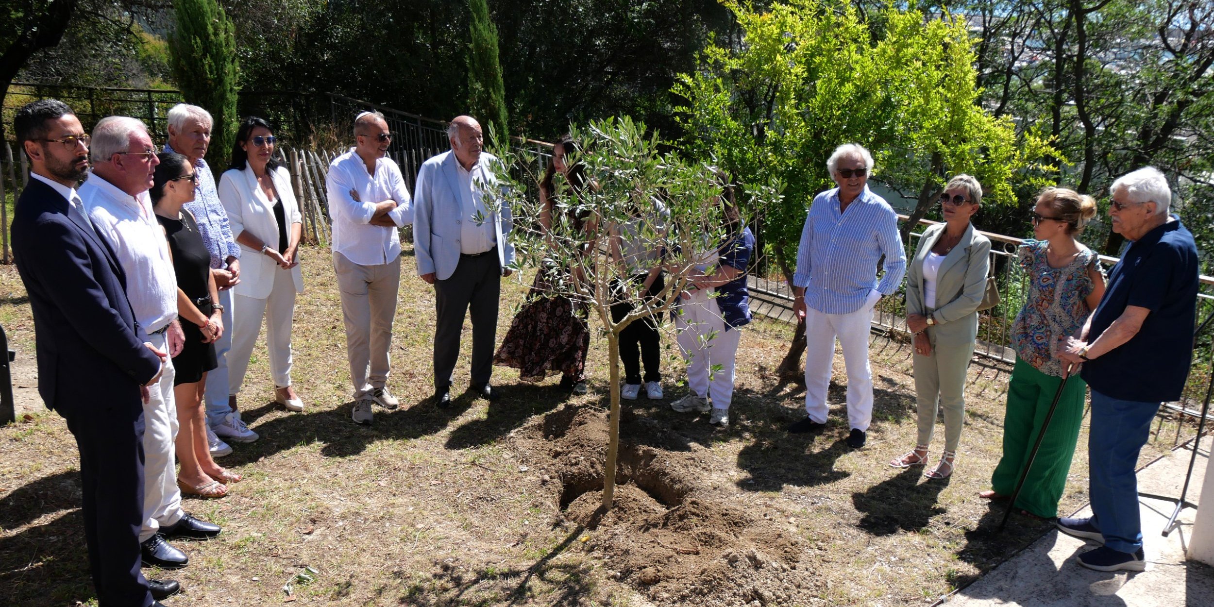 Plantation d'un olivier en hommage à Ilan Halimi
