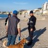 Chiens sur les plages de Menton : rappel des règles en vigueur