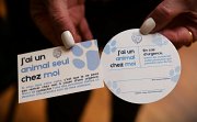 Kit de prévention "J'ai un animal seul chez moi"