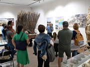 « Pas bête ! » au musée de Préhistoire régionale